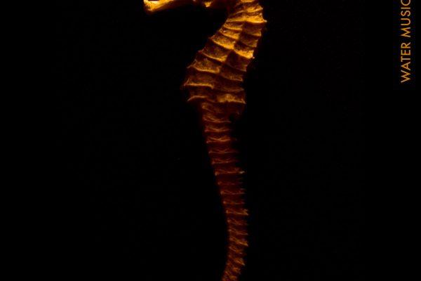 Water Music Ships cover