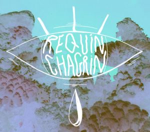 Requin Chagrin