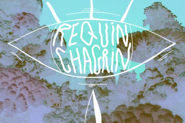 Requin Chagrin
