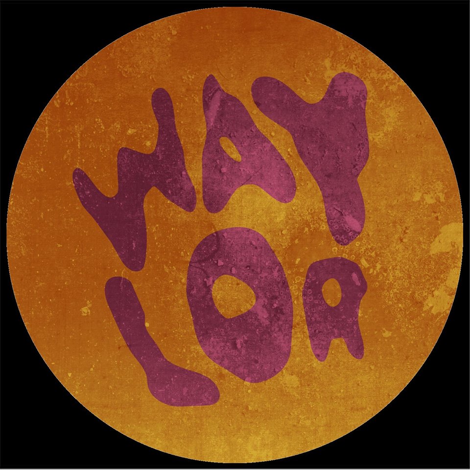 nouvelle musique Waylor